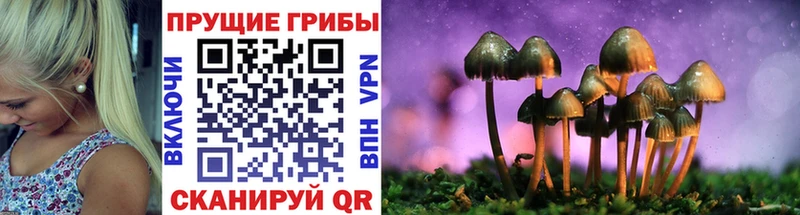 где продают наркотики  Лянтор  Псилоцибиновые грибы GOLDEN TEACHER 