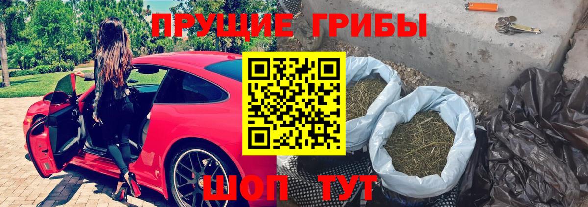 Галлюциногенные грибы GOLDEN TEACHER Лянтор