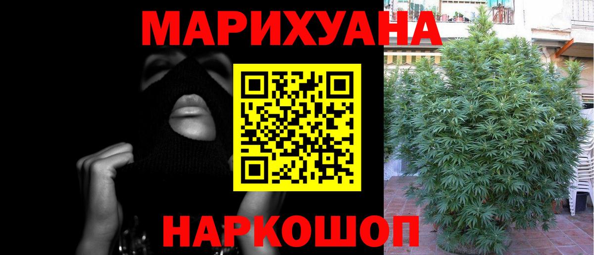 Бошки марихуана план Лянтор